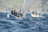prime cut gbr3709 whyw16 thur 800 3182w